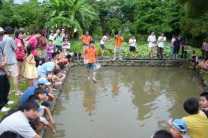  https://chi-garden.org.tw/garden_photo/泥鰍池-2/